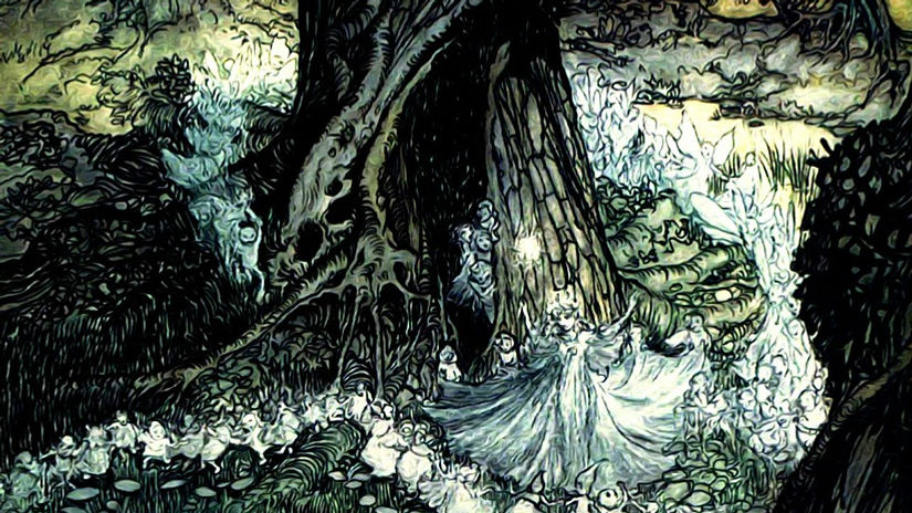 Fairy Plants